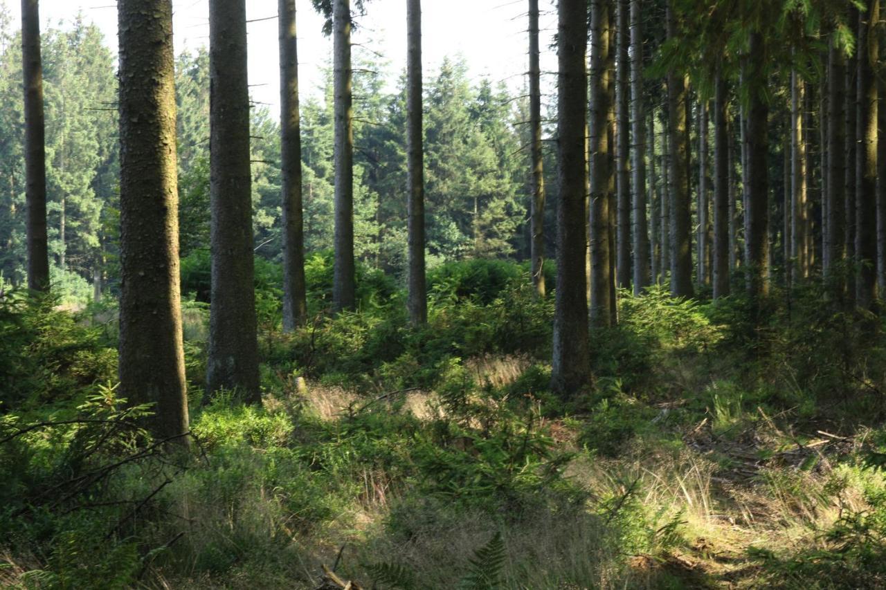 Le Clos Du Cerf - Le Sous-Bois ストゥモン エクステリア 写真