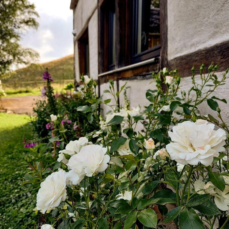 Le Clos Du Cerf - Le Sous-Bois ストゥモン エクステリア 写真