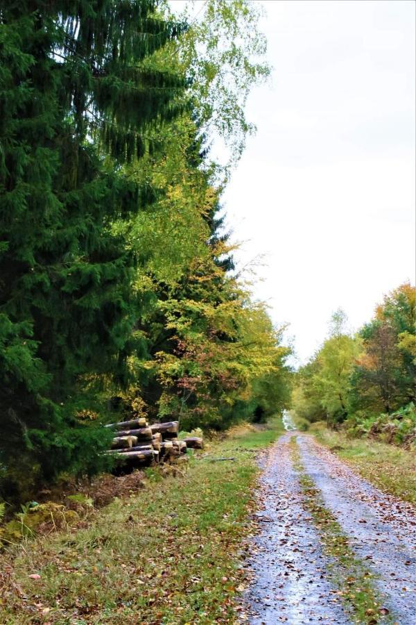 Le Clos Du Cerf - Le Sous-Bois ストゥモン エクステリア 写真