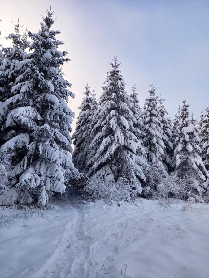 Le Clos Du Cerf - Le Sous-Bois ストゥモン エクステリア 写真